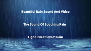 Beautiful Rain Sound And Video, The Sound Of Soothing Rain, Light Sweet Sweet Rain