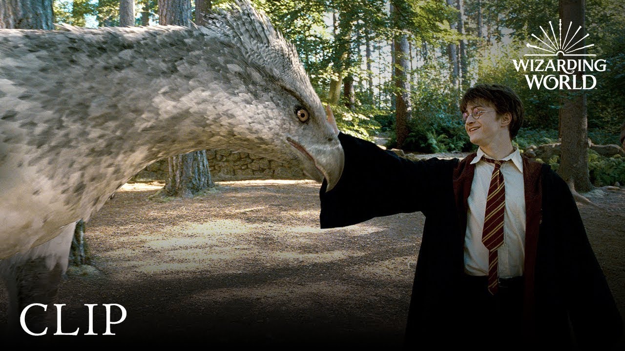 Meet Buckbeak Harry Potter and the Prisoner of the Azkaban