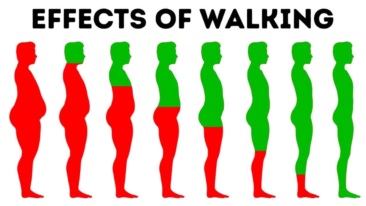 What Will Happen to Your Body If You Walk Every Day