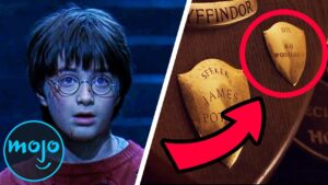Top 10 Hidden Details in Harry Potter and the Sorcerers Stone