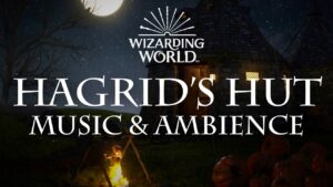 Harry Potter Music And Ambience, Hagrid's Hut