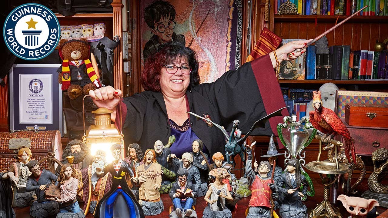 Worlds Biggest Harry Potter Collection, Guinness World Records